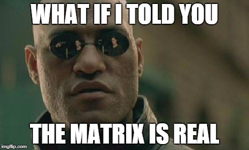 The matrix movie summary The matrix movie summary